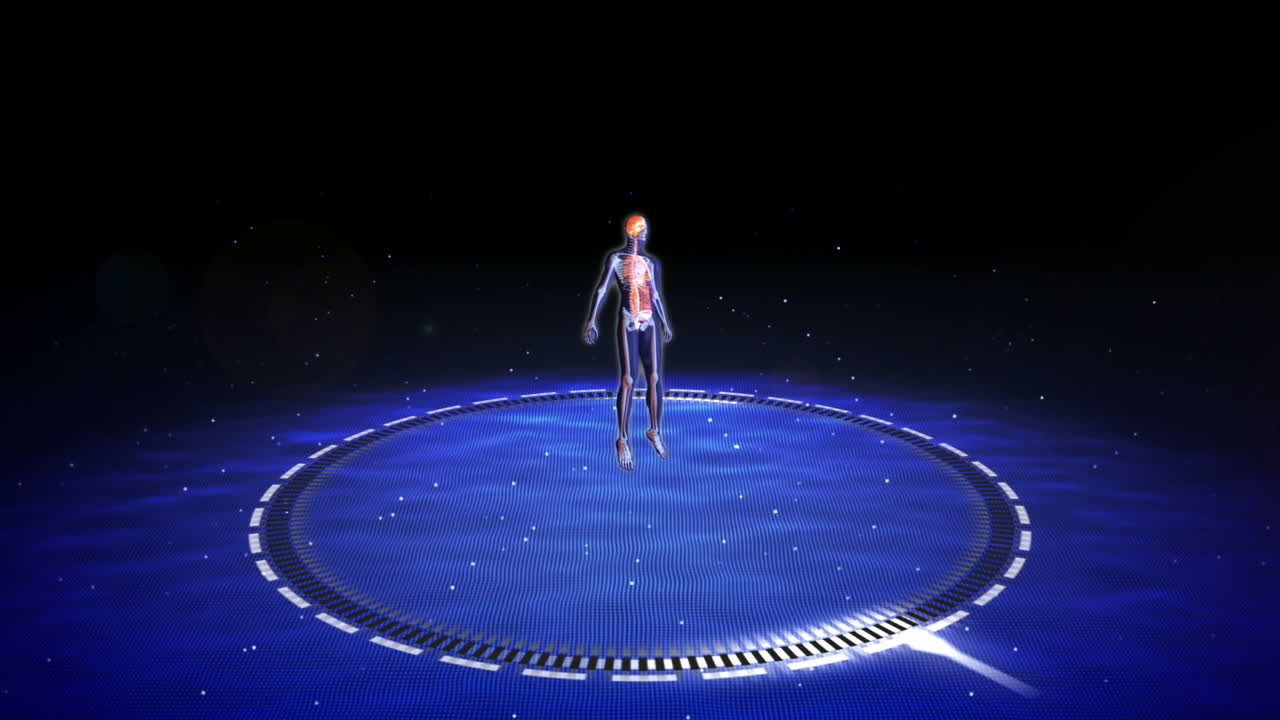 투명한 인간의 디지털 신체 스캔