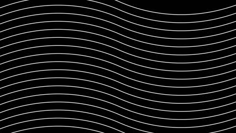 línea abstracta fondo dinámico de movimiento simple. animación 4k de patrón de textura de transición dinámica en blanco y negro. dibujo de líneas gráficas de movimiento y sombreado de patrones. video de imágenes de bucle de rayas mínimas.