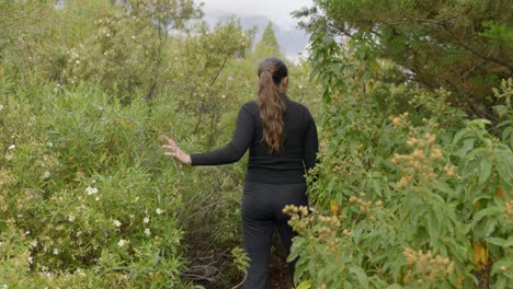 Turista-Femenina-Con-Ropa-Deportiva-Negra-Entrando-En-Un-Bosque-Verde-Y-Tupido,-Tenerife