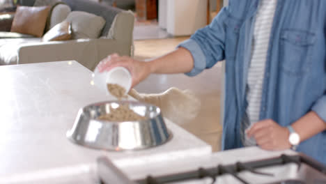 Midsection-of-biracial-woman-preparing-dog-food-at-home,-slow-motion