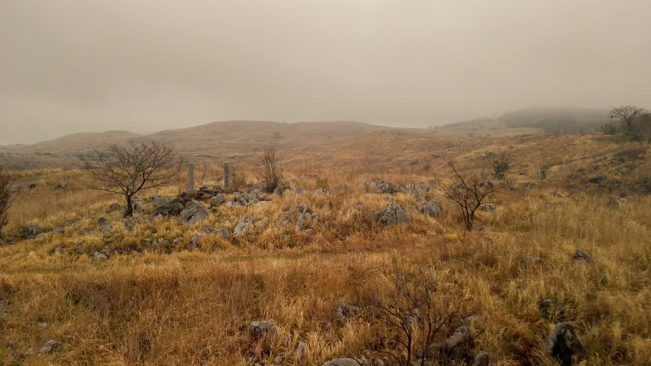 A moody cinematic aerial shot flying over a vast rocky karst plateau in Japan on a foggy day. The landscape is covered in golden-brown grass and scattered leafless trees, creating atmospheric scene.