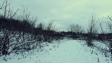 Walking-in-the-snow-near-a-frozen-lake