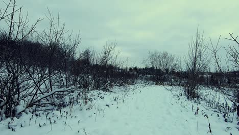 Caminando-En-La-Nieve-Cerca-De-Un-Lago-Congelado