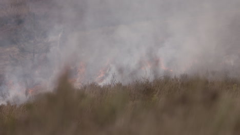 shot of a controlled field fire with a man walking behind the smoke