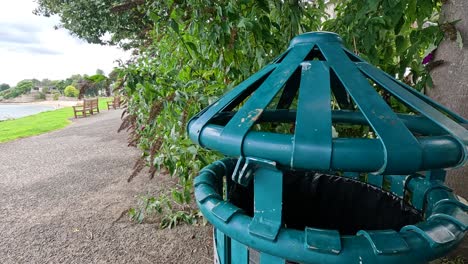 persona descarga la basura en un contenedor