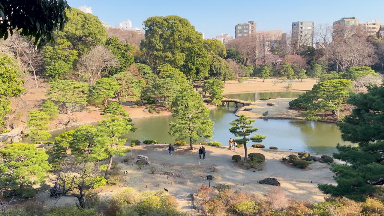 Uma tomada ampla em ângulo alto captura o lago sereno e os pinheiros bem cuidados em Tóquio.