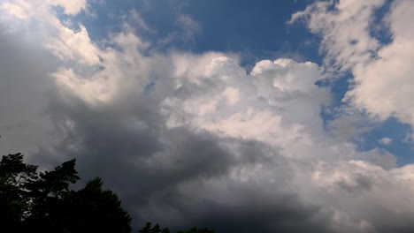 Stormy-clouds-flowing-above,-view-from-bellow