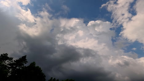 nubes tormentosas que fluyen por encima, vista desde abajo