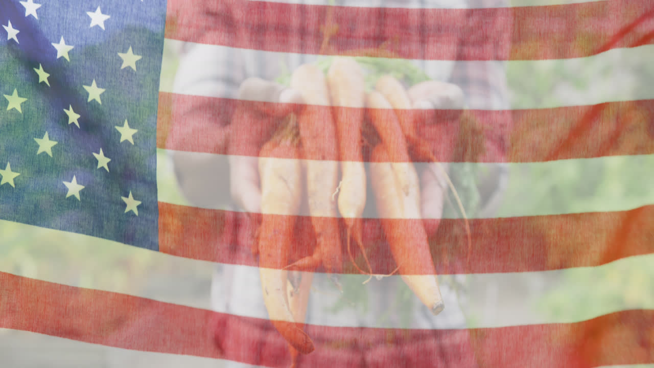 animación de la bandera de los estados unidos de américa sobre un granjero afroamericano que guarda zanahorias