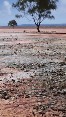 red dirt outback landscape