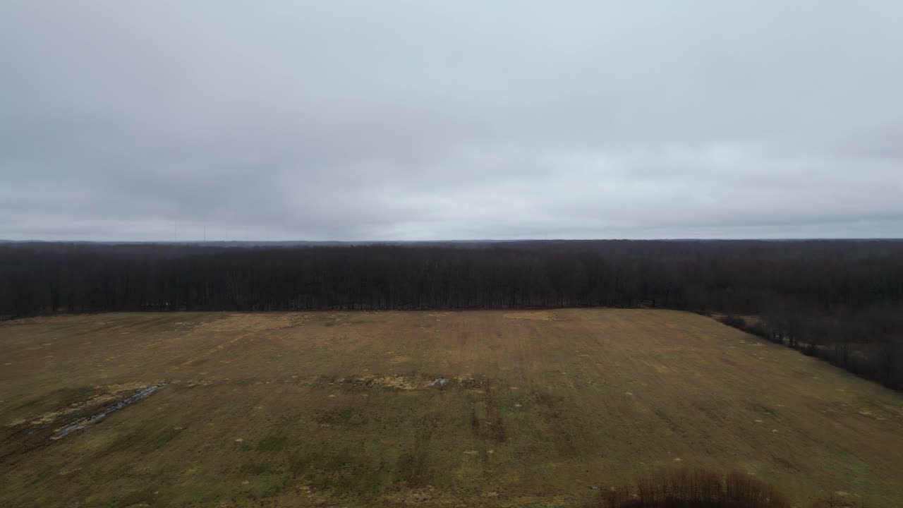 야생 숲, 오하이오, 미국을 향해 녹색 필드를 통해 비행