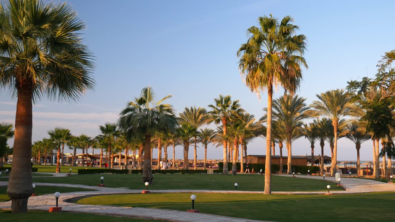 푸른 하늘 배경에 야자수