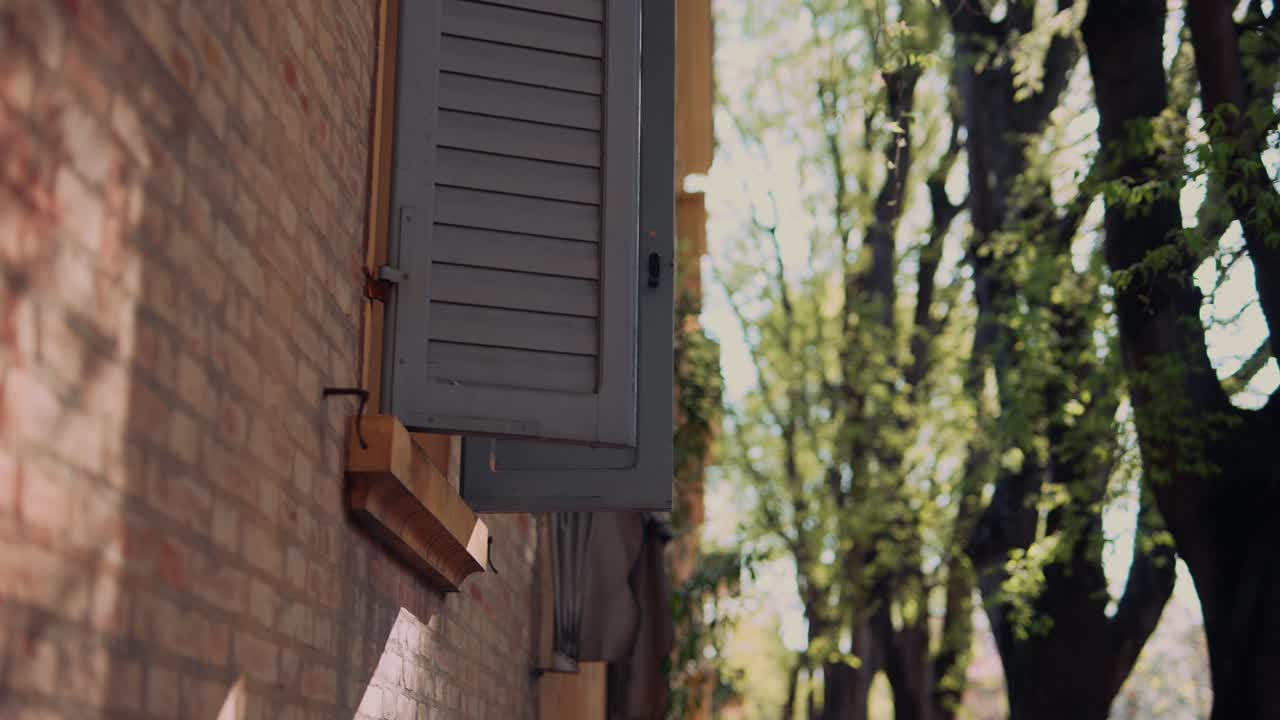 Urban Alley with Trees and Buildings