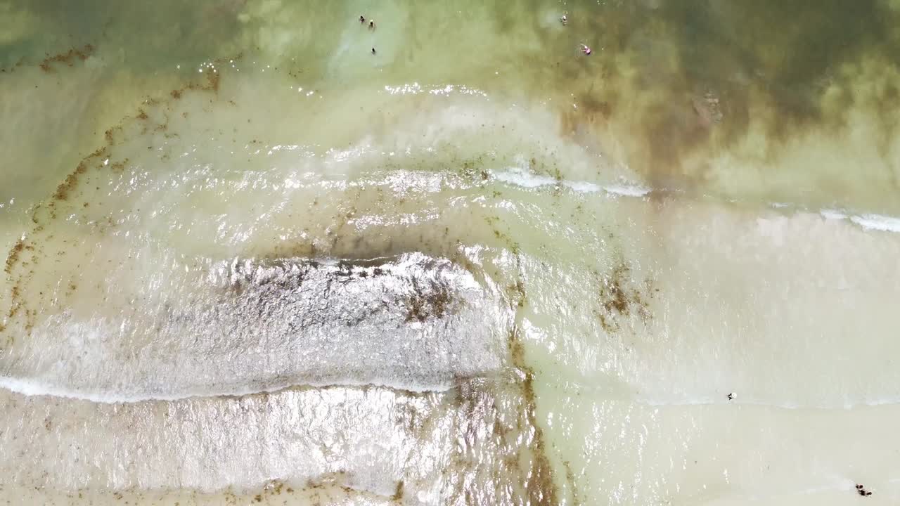 Aerial View of People Swimming in a Turquoise Ocean with White Sand Beach