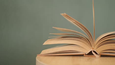 open book on wooden table