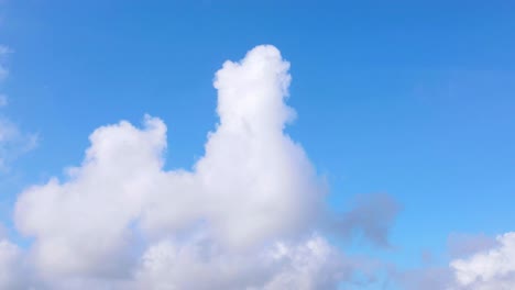 nubes blancas y esponjosas que pasan por encima contra un cielo azul claro