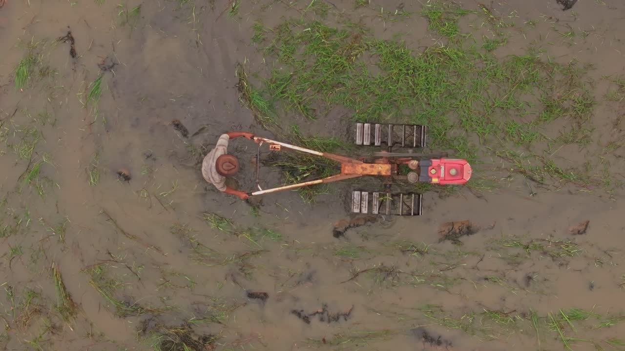 Luce del mattino su risaie con lavoratori, Labuan Bajo, Indonesia
