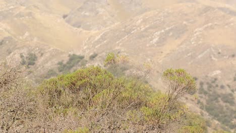mountain slope in a windy day in san luis, argentina