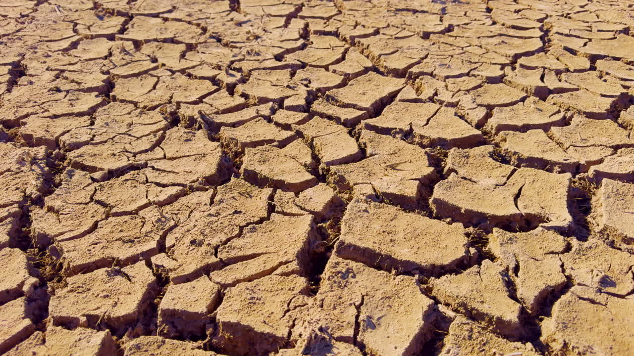 Sfondo di fango arido e screpolato che mostra gli effetti della siccità prolungata e del cambiamento climatico sull'ambiente.