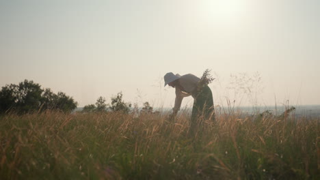 woman in white hat bends to gather wild flowers in tall golden grass while butterfly flutters nearby, sun glows softly overhead casting warm silhouette, tranquil natural scene with distant trees
