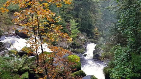 Static-above-view-of-Triberg-waterfal-in-the-forest-of-Schwarzwald,-Black-Forest-Germany