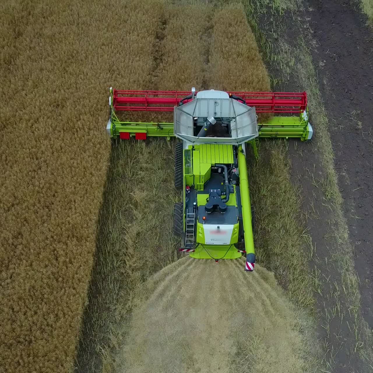 комбайн работает на поле