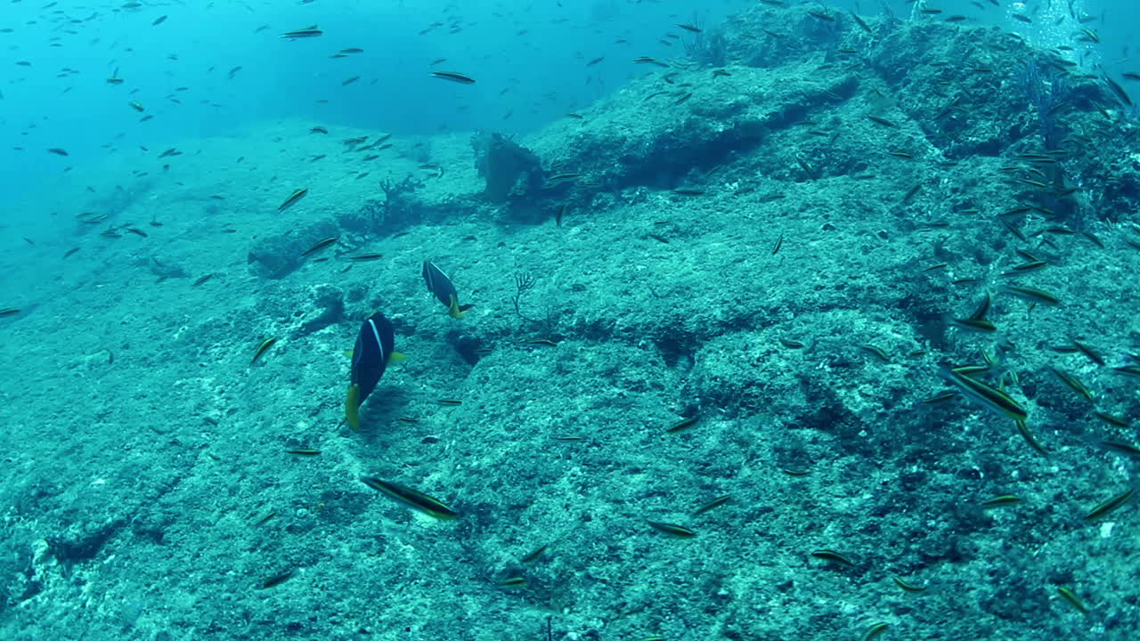 Mexico Diving 0 29