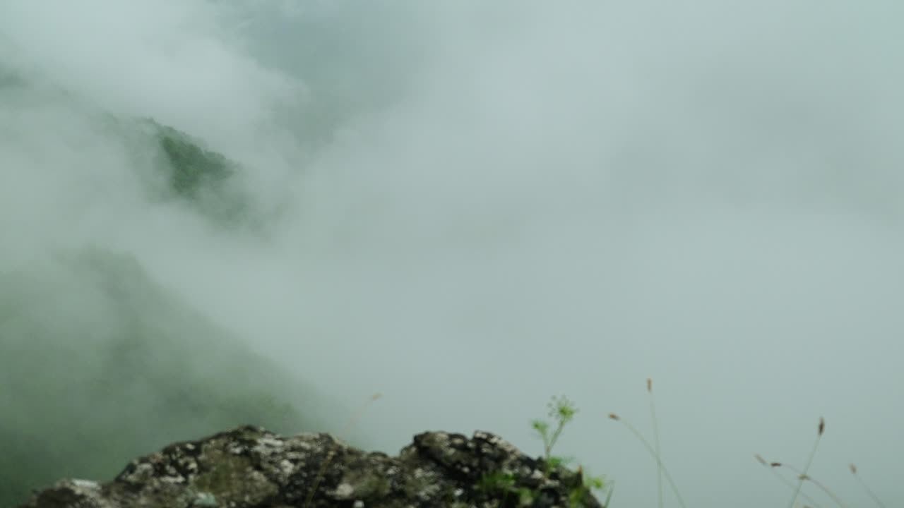 비가 내린 후 녹색 숲 계곡 위를 굴러가는 두꺼운  ⁇  안개의 시간 흐름