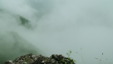 Timelapse-of-thick-white-fog-rolling-over-green-forest-valley-after-rain