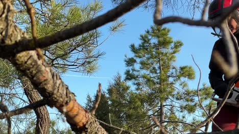 Lower-angle-view-of-woman-holding-a-chainsaw-in-the-forest