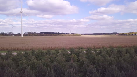 Aerial-footage-flying-over-farm-orchards-moving-towards-corn-field