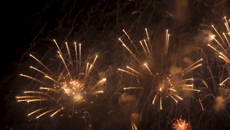 firework exploding in the night sky. celebrate in any event. new year. national day. diwali. real shot.