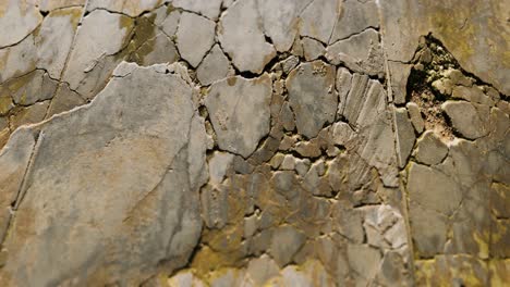 Wall-fragment-with-scratches-and-cracks