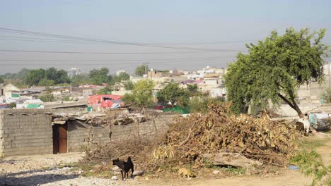 poverty and overcrowding in a developing country slum