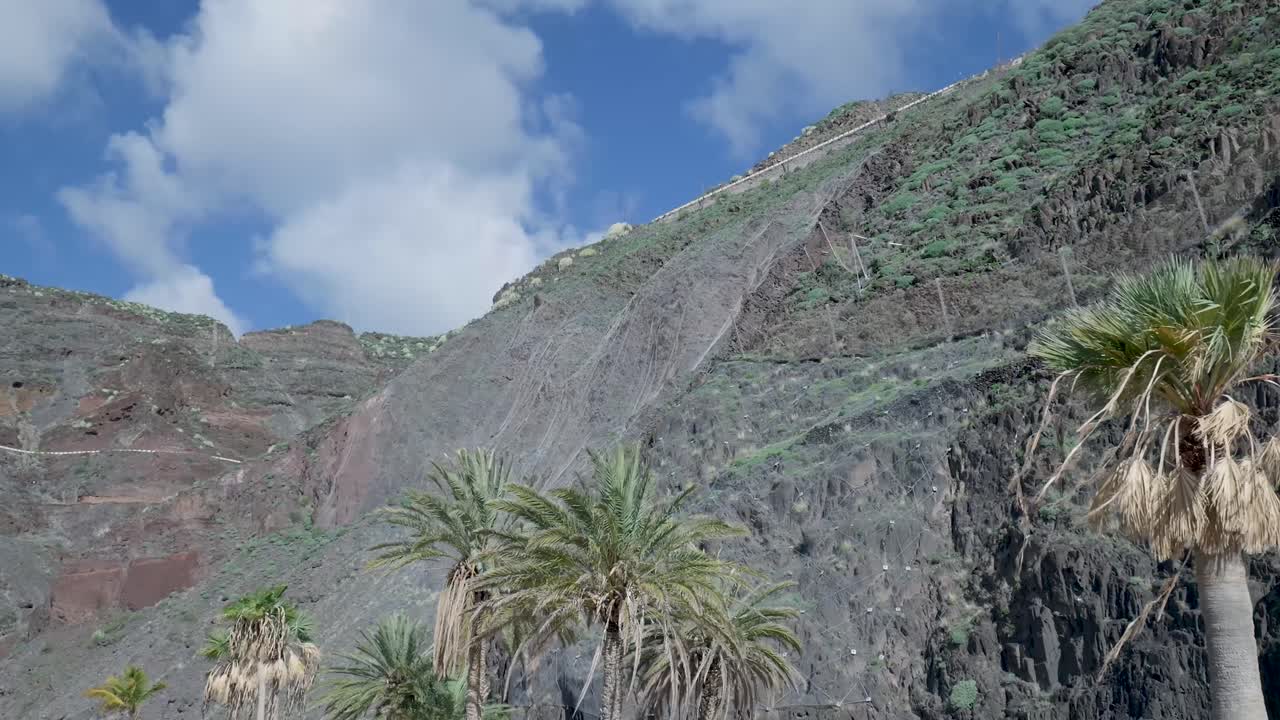 Palme che ondeggiano di fronte a una maestosa scogliera di montagna