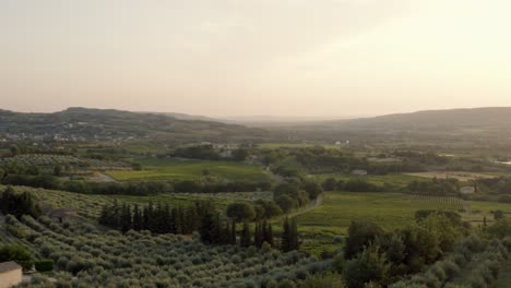 Hermosa-Naturaleza-En-El-Sur-De-Francia-Con-Olivos-Y-Viñedos