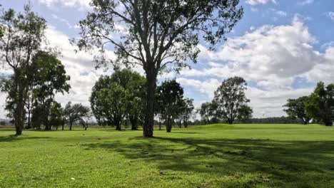 Panoramic view of a serene golf course
