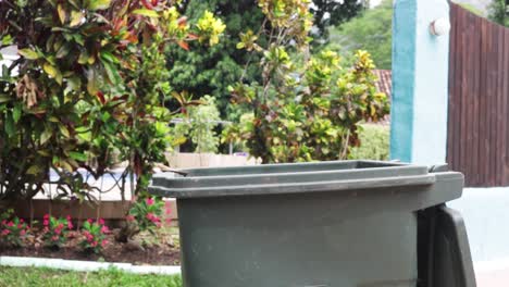 throwing dry leaves in the trash.static