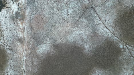 una toma de arriba hacia abajo de un campo de maíz que ha estado inactivo durante varios años cubierto de nieve en medio del invierno