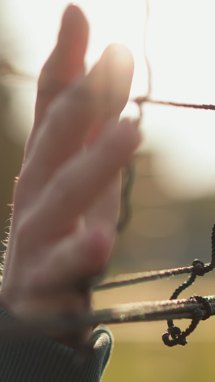 Close-up hand of person in green sweater gliding over net under golden sunlight, blurred greenery background creating calm and serene atmosphere, peaceful outdoor scene