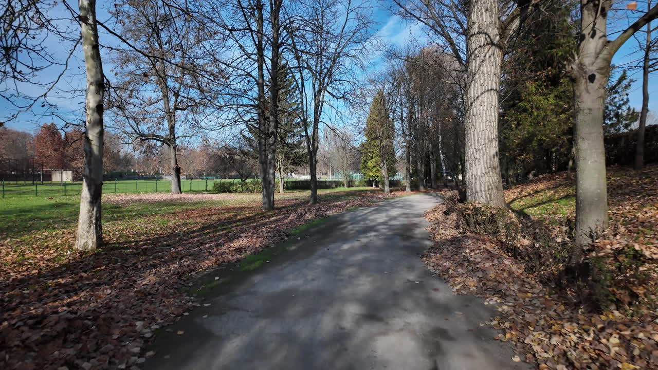 Quiet park path in late autumn