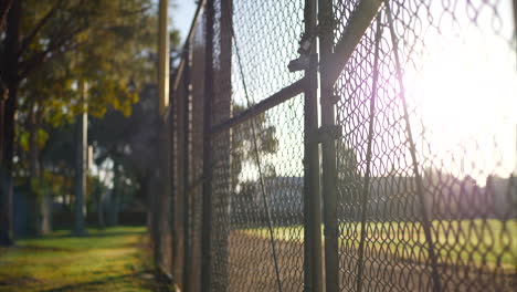 rising up along a chain link fence gate with locks on it at sunrise outside of a grass baseball field in a public park