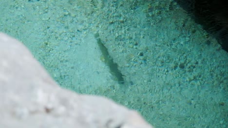 Beautiful-view-of-turquoise-water-going-down-the-river-at-Soca-river,-Slovenia