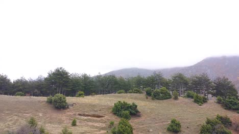 Bosque-En-La-Cima-De-Una-Colina-Que-Revela-Grandes-Montañas-En-La-Niebla