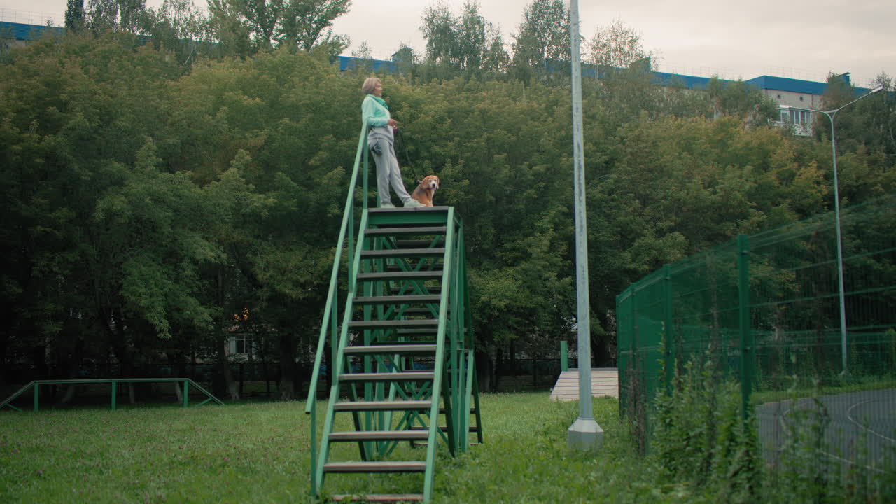 Female pet therapist resting on high ladder trainer with dog during break from training activity in lush green park surrounded by trees near tennis court under calm cloudy sky reflecting bond