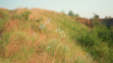 iridescent soap bubbles drifting over sunlit grass hillside under pastel sky catching warm golden hour rays as they float gently into distance against serene nature backdrop