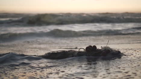 slow motion of a fisherman's net left abandoned on the shoreline and bathed by sea water during the golden hour with waves in a blurry background