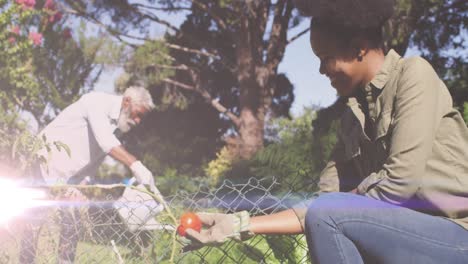 Lichtfleck-Gegen-Afroamerikanischen-Vater-Und-Tochter,-Die-Gemeinsam-Im-Garten-Gärtnern