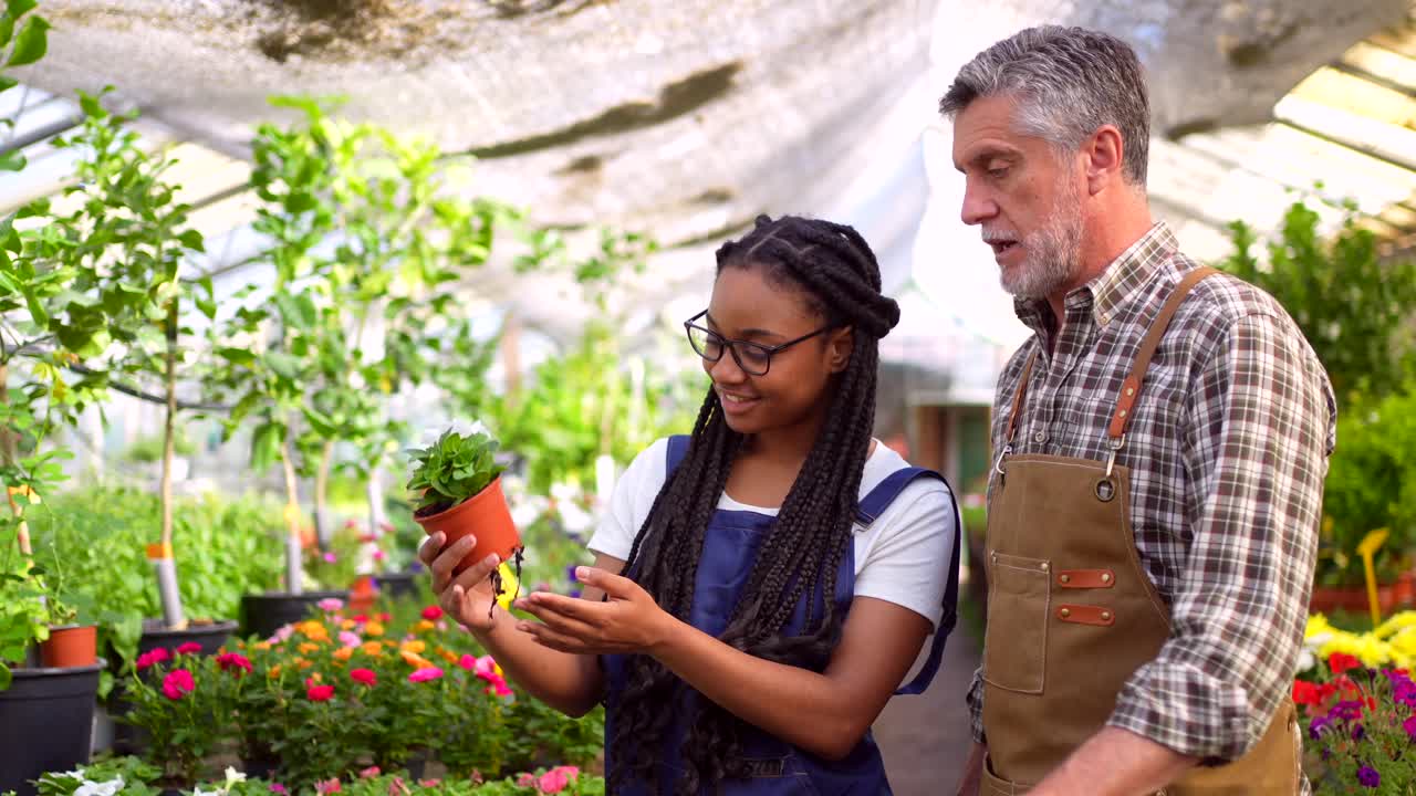 Two people working together in a greenhouse full of plants and flowers
