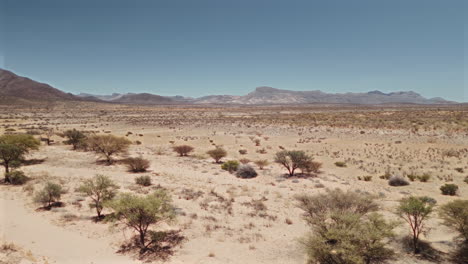 desert landscape with mountains